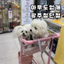 첨단연산로91번길 | 아무도없개 광주첨단점 :: 광주첨단강아지간식 &amp; 무인애견 편의점 후기