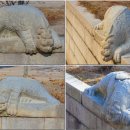 녹산사슴 이미지