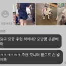 꽃그리너