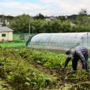 월산2리 이미지