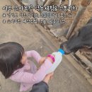 은아네집 | [여주] 아이와 가볼만한 곳 은아목장 낙농체험 재방문 후기 (예약방법. 주차. 가격)