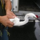 가인동물병원 이미지