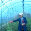 미양농장 이미지