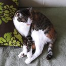 그루밍 까꿍 이미지