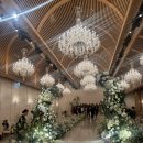 인터아치 | w02-3. 대구만촌인터불고 인터빌리지/파크빌리지 26년 꽃장식, 12월~1월 겨울 잔디밭 풍경