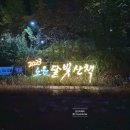 서울 불빛 축제 당현천 노원달빛산책 관람 후기 주차 정보 작품 설명 꿀팁 야간 데이트 코스 추천