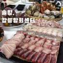 현대자동차(주)강릉서비스센터 | 동해 일출 강릉항맛집 추천 안목해변 근처 솔향 강릉항회센터 안목항횟집 가성비 후기