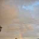 윤슬컴퓨터학원 | [D+11~15] 호주워홀 터벅터벅걸어가는 뚜벅이 일상, 라포웍 3종콤보 자격증 따기, 포키 자격증 신청...