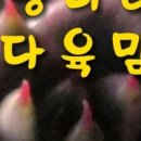 원성25길 이미지