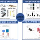 꼬마농축산 네이버블로그