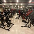 더바디짐 이미지