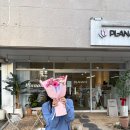 세븐일레븐 대구칠곡국우점 | 대구 칠곡 3지구 꽃집 플라낭 24시간 픽업 가능한 곳, 색감이 예쁜 꽃다발 선물 추천