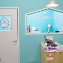 내 강아지 미용실 이미지