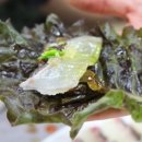 대영상회 이미지