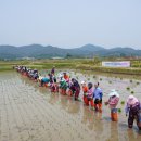 서영암농협 이미지