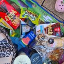 안경월드양산점 | 오사카 가족여행 :) 둘째날, 유니버셜스튜디오 오픈런! 익스프레스권 없이 동키콩 성공~닌텐도 월드!