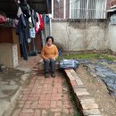 삼성이용소 Daum카페
