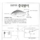 오세호의 만화로 배우는 붕어낚시/유료터의 중국붕어 이미지