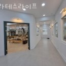 영창빌딩 | 창원 성산 도계동 필라테스라이프 재활 체형 교정 센터의 가격과 위치 및 주차