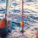언니네축산 이미지