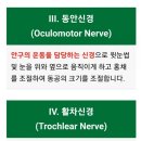 테라피피부관리실 이미지