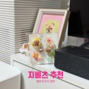 여름 크록스 파츠 추천💛 해피베어 멜로우 코지 썸머 파츠 후기✨