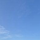 멘츠로에비야 이미지