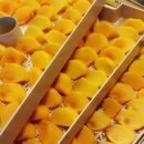 예현농장 이미지