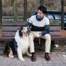 개과천선 이미지