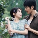 라정혼수 네이버블로그