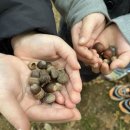 파리바게뜨 서창로데오점 이미지