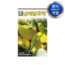 금메달농장 이미지