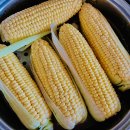 상상초당 이미지