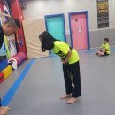 합기도(BK)본부도장 이미지