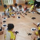 둘리몬테소리어린이집 네이버블로그