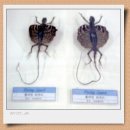 양지카운티 이미지