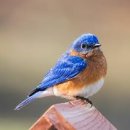 정왕체육공원2 이미지