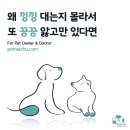 이의종동물병원 이미지