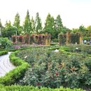 한밭수목원 이미지