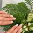 오라네일 이미지