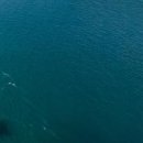 양양 푸드뱅크 이미지