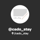 카도스테이 이미지