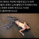 제니 옷 해외에서도 반응 안좋네 이미지