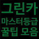 그린카마스타 이미지