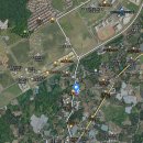 카멜리아의원 이미지