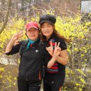 계란마을 Daum카페
