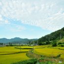 계절그리기 이미지