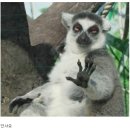 우리컨설팅공인중개사사무소 이미지