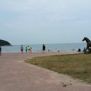 대광해수욕장 이미지