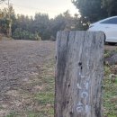 동백 유기농원 이미지